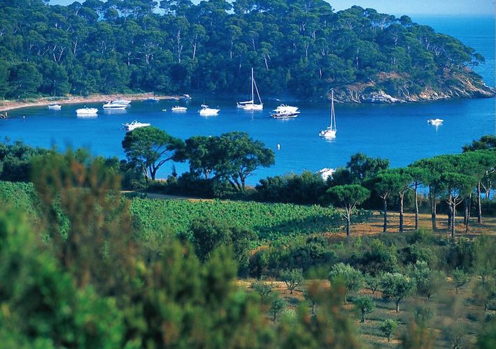 Provence This Magnificent Life