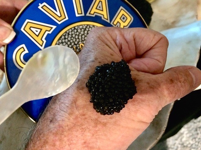 Caviar This Magnificent Life